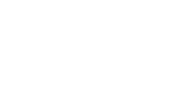 netfox banner horizontal white